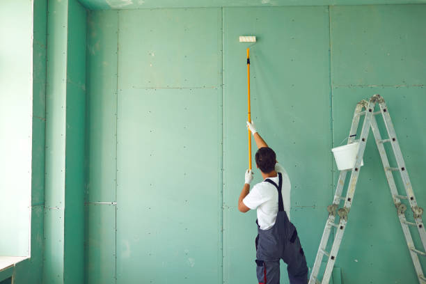 Mold Documentation for Insurance Claims in Brownsville, PA