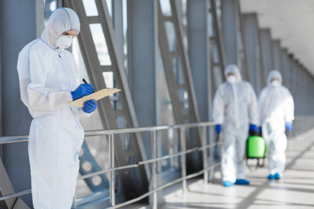 Best Mold Damage Restoration  in Brownsville, PA