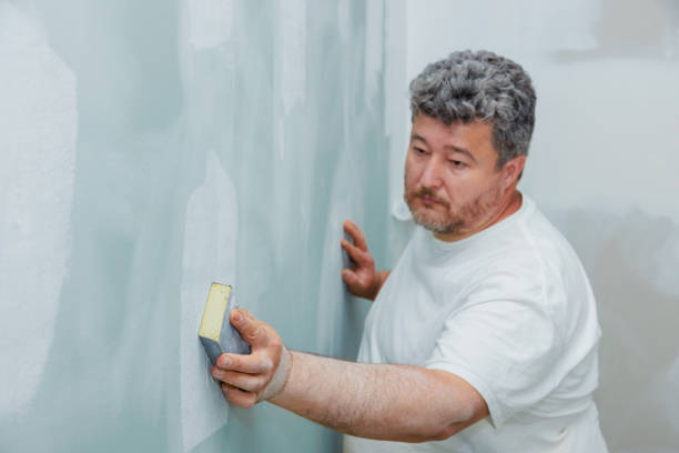 Best Post-Construction Mold Inspection  in Brownsville, PA