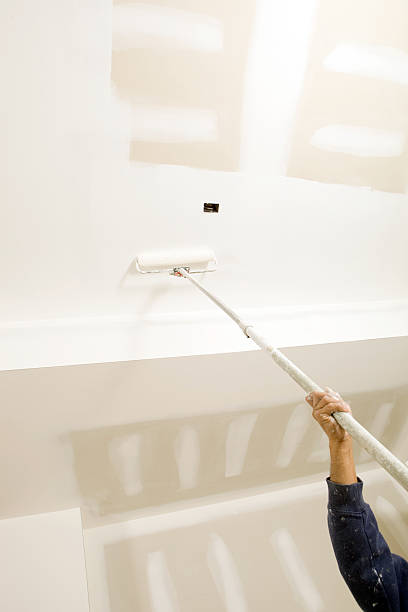 Best Forensic Mold Investigation  in Brownsville, PA